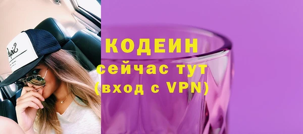 гидра Кулебаки