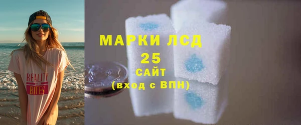 гидра Кулебаки