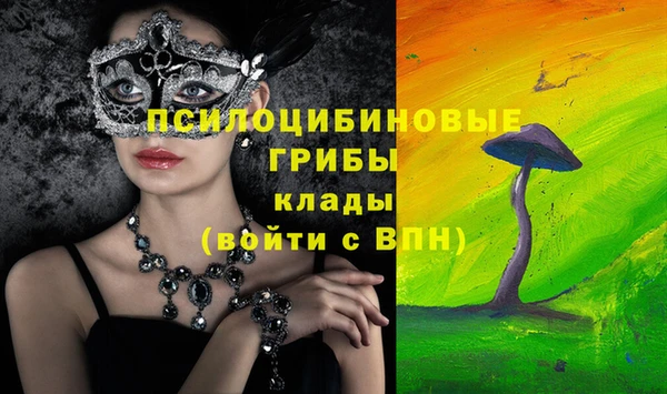 гидра Кулебаки