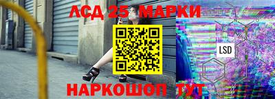 молекула духа Берёзовский