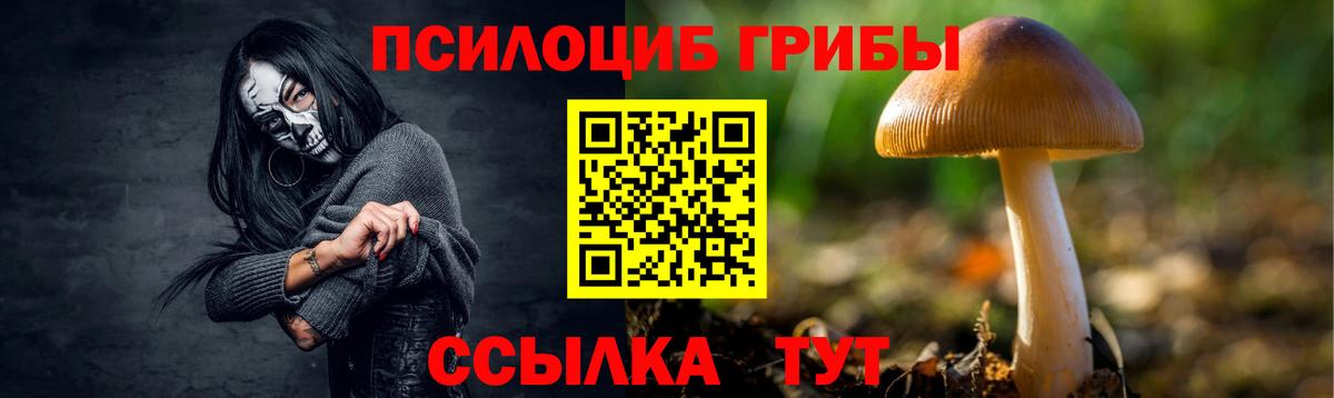 Галлюциногенные грибы мухоморы Черняховск