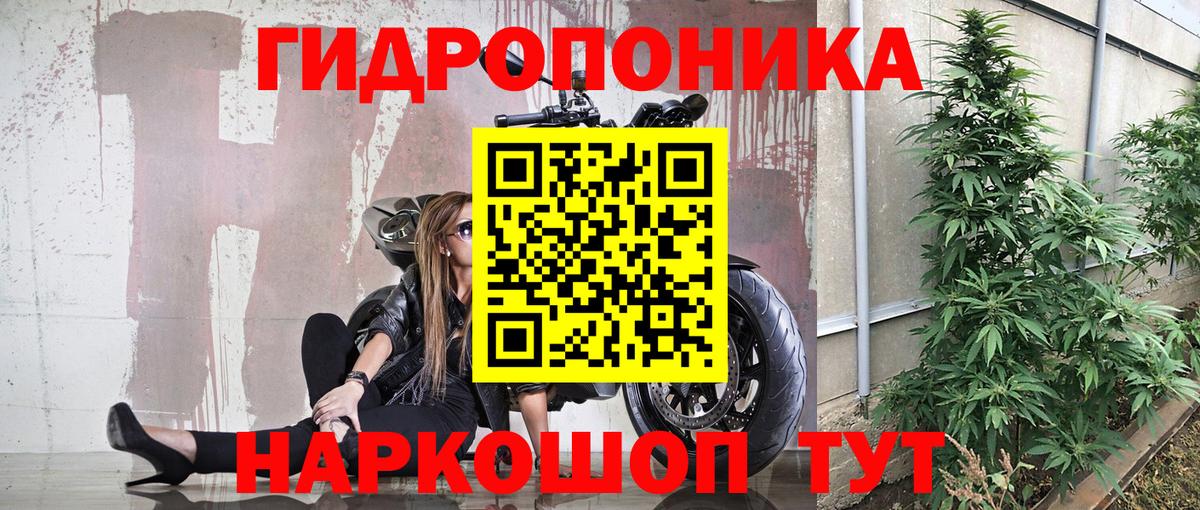 Каннабис семена  Каннабис гибрид  Черняховск 